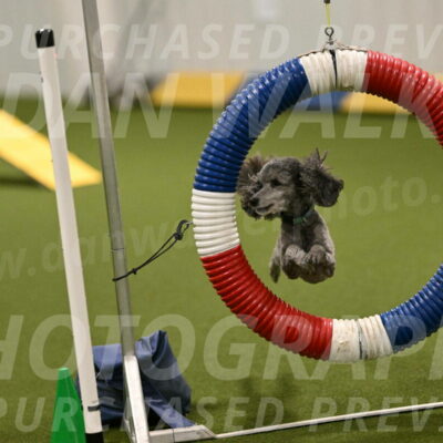 Fizz-Lori-Bieber-00144