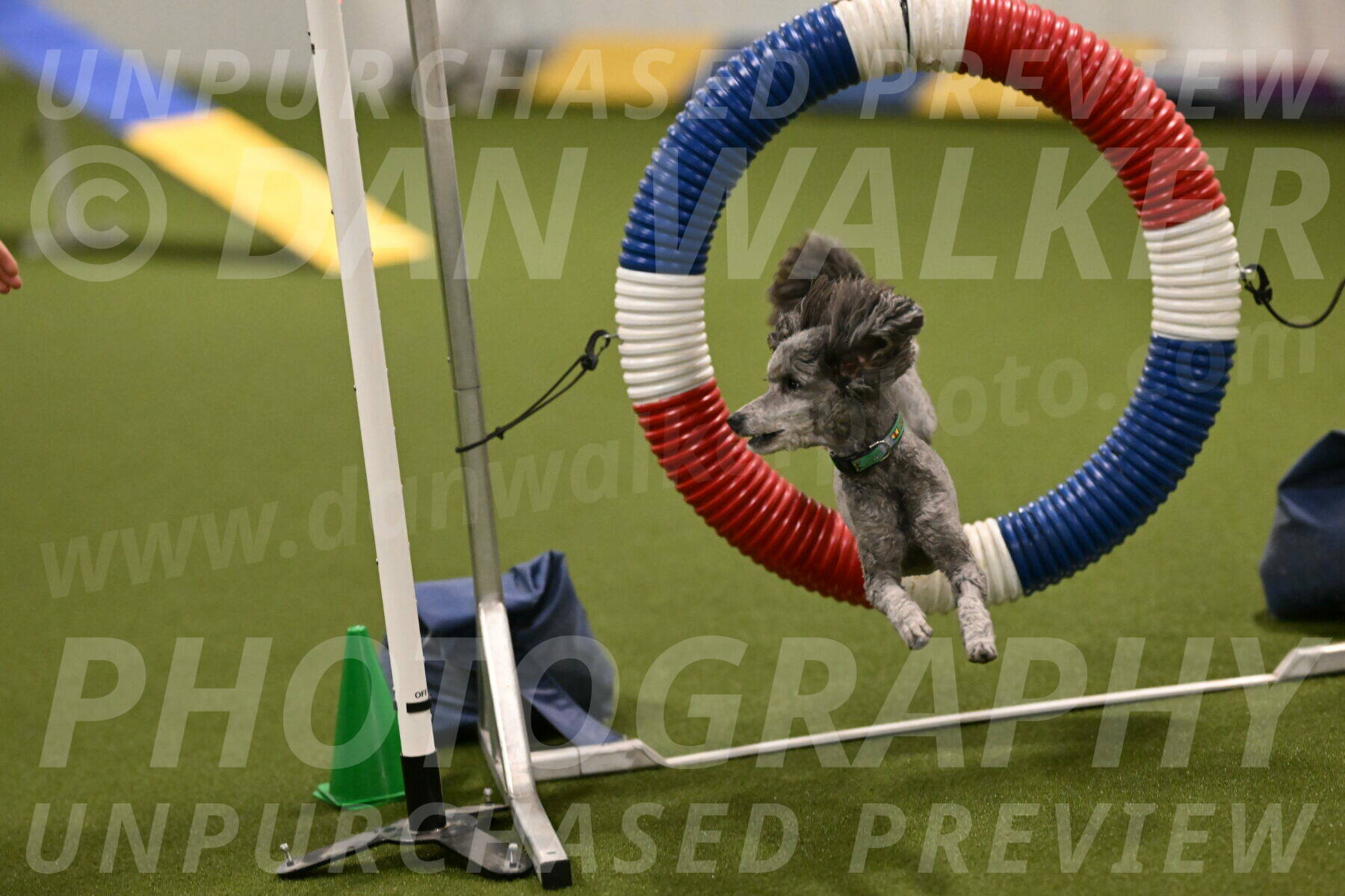 Fizz-Lori-Bieber-00145