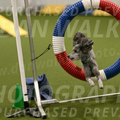 Fizz-Lori-Bieber-00145