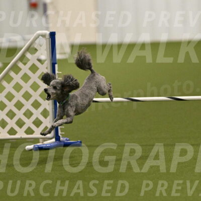 Fizz-Lori-Bieber-00146