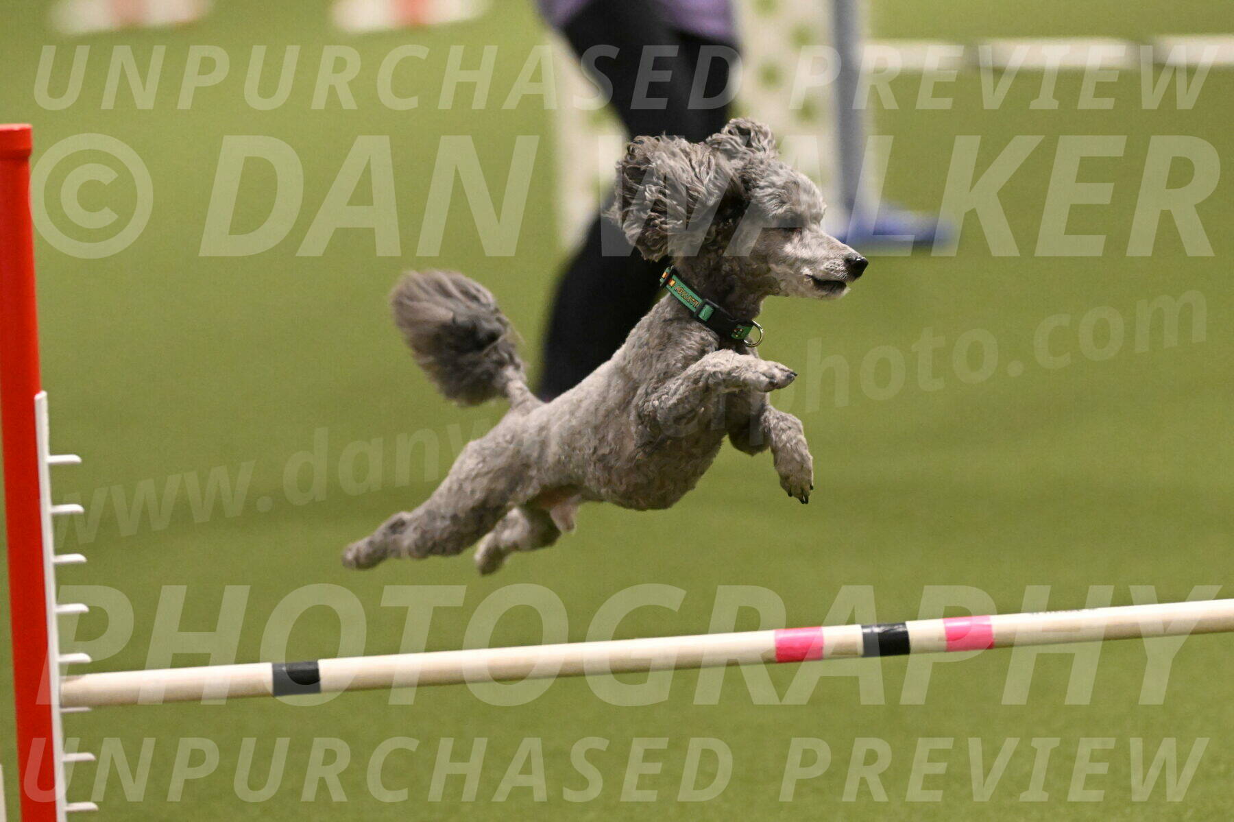 Fizz-Lori-Bieber-00147