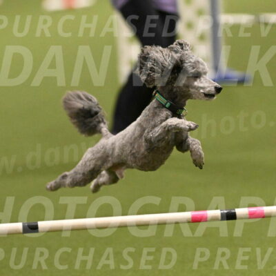 Fizz-Lori-Bieber-00147