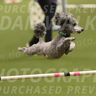 Fizz-Lori-Bieber-00148