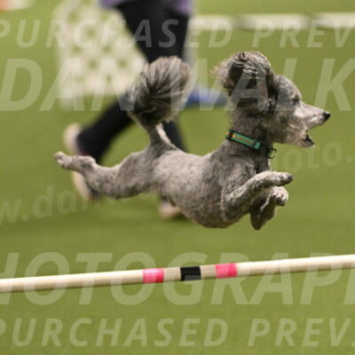 Fizz-Lori-Bieber-00149