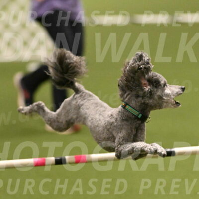 Fizz-Lori-Bieber-00150