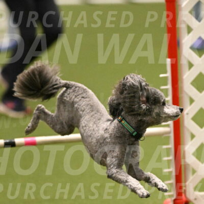 Fizz-Lori-Bieber-00151