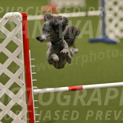 Fizz-Lori-Bieber-00152