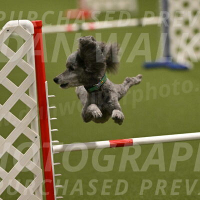 Fizz-Lori-Bieber-00153