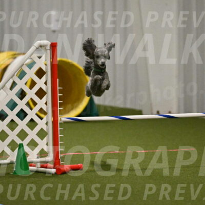 Fizz-Lori-Bieber-00154