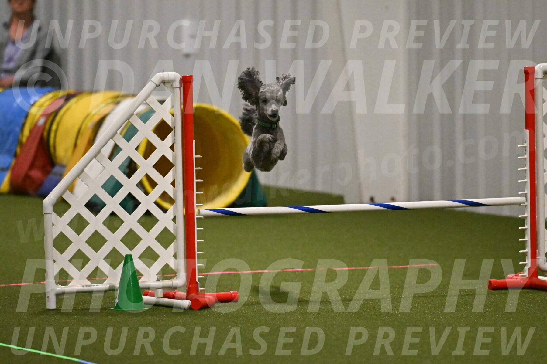 Fizz-Lori-Bieber-00154