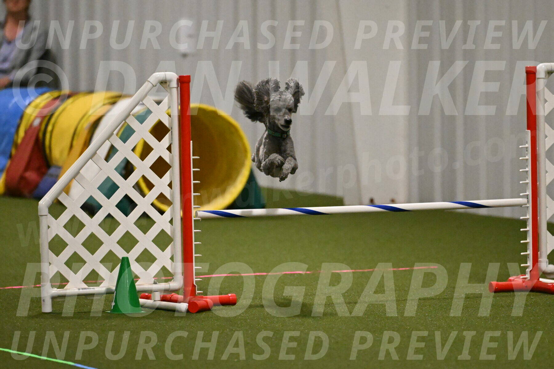 Fizz-Lori-Bieber-00155