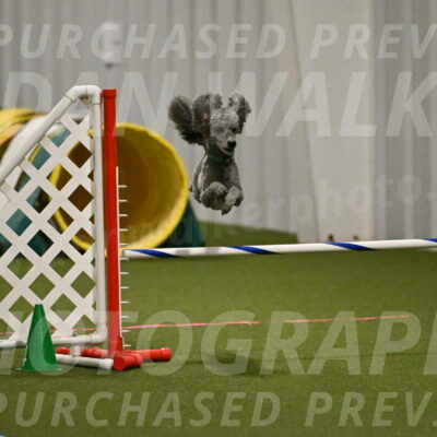 Fizz-Lori-Bieber-00155