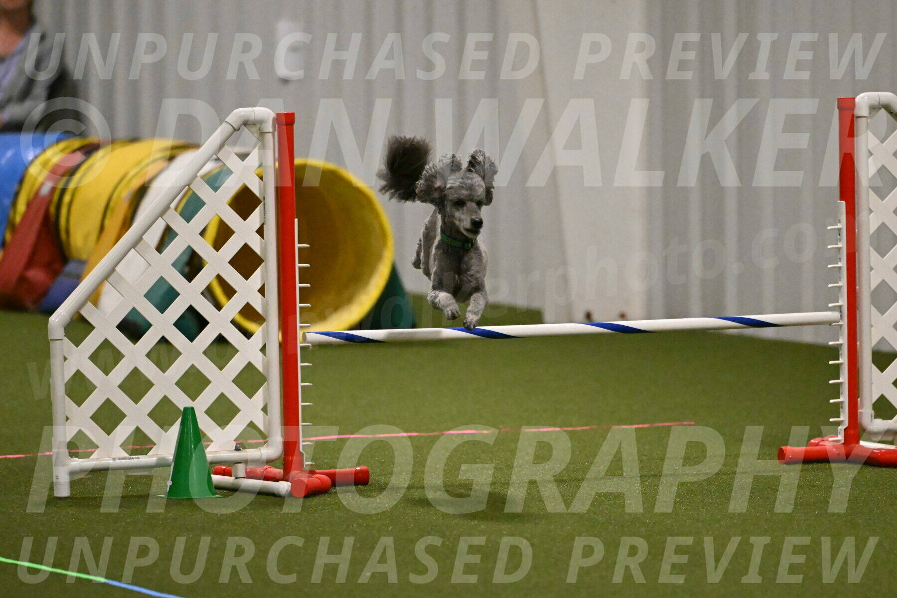 Fizz-Lori-Bieber-00156