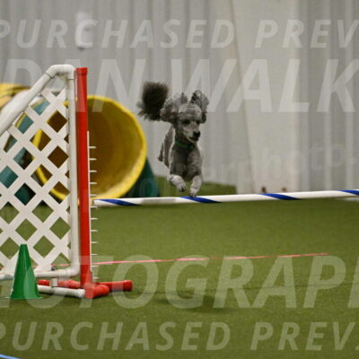 Fizz-Lori-Bieber-00156