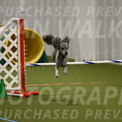 Fizz-Lori-Bieber-00157