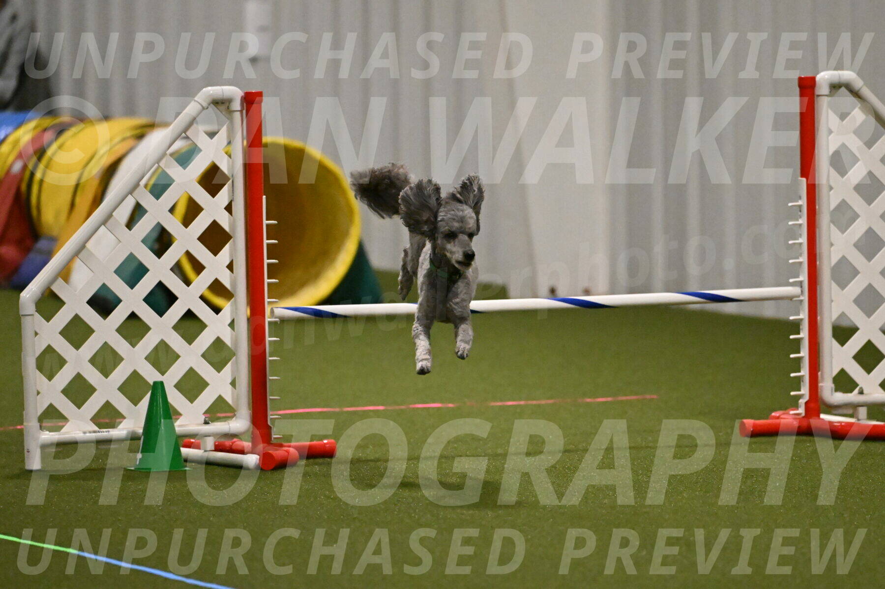 Fizz-Lori-Bieber-00157