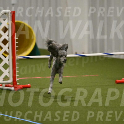 Fizz-Lori-Bieber-00158