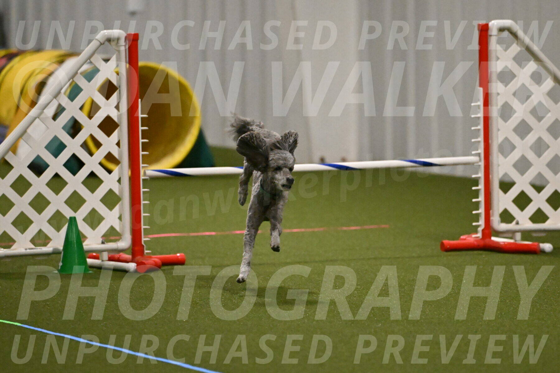 Fizz-Lori-Bieber-00158