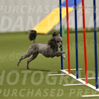 Fizz-Lori-Bieber-00159