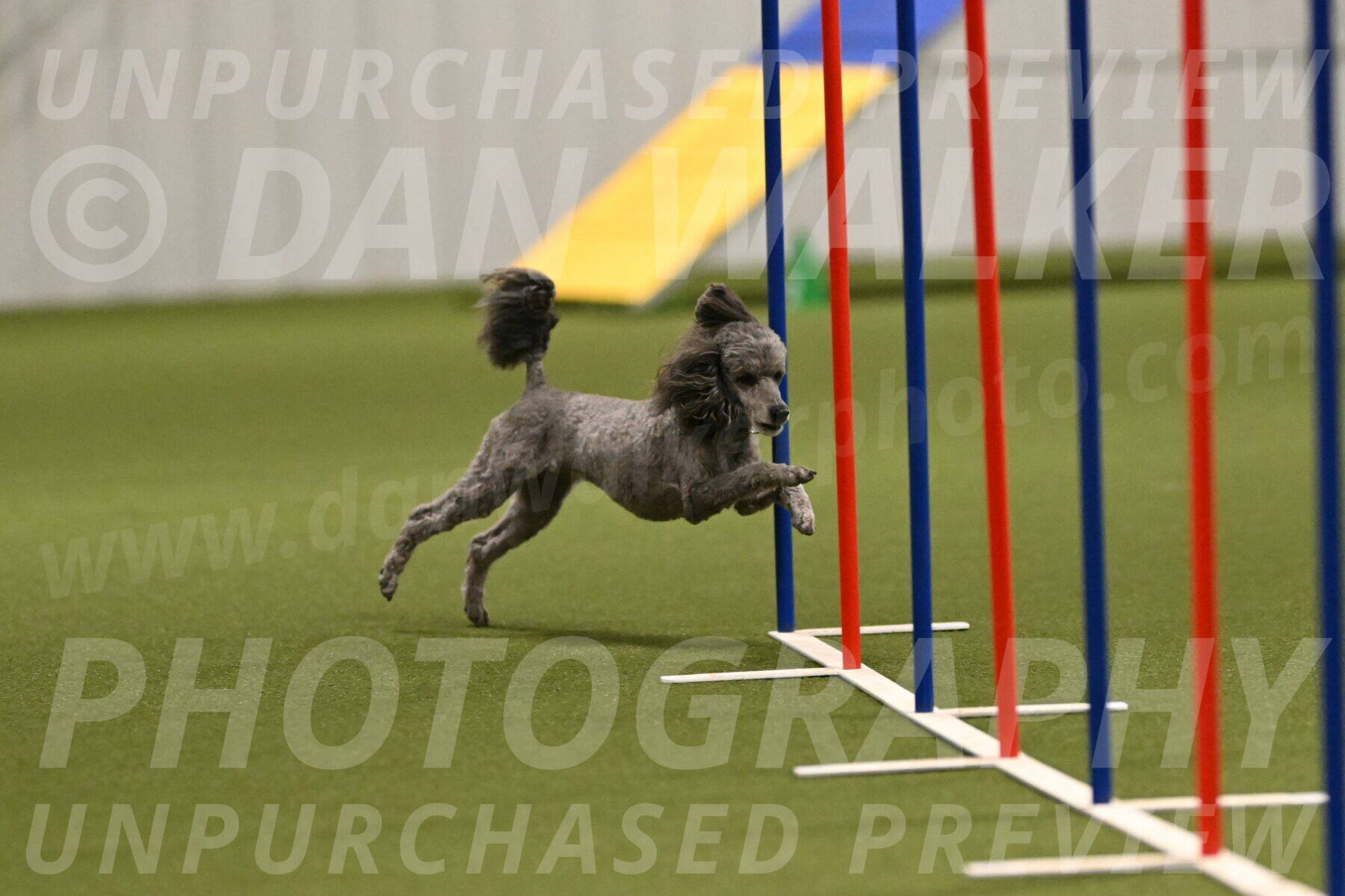 Fizz-Lori-Bieber-00159