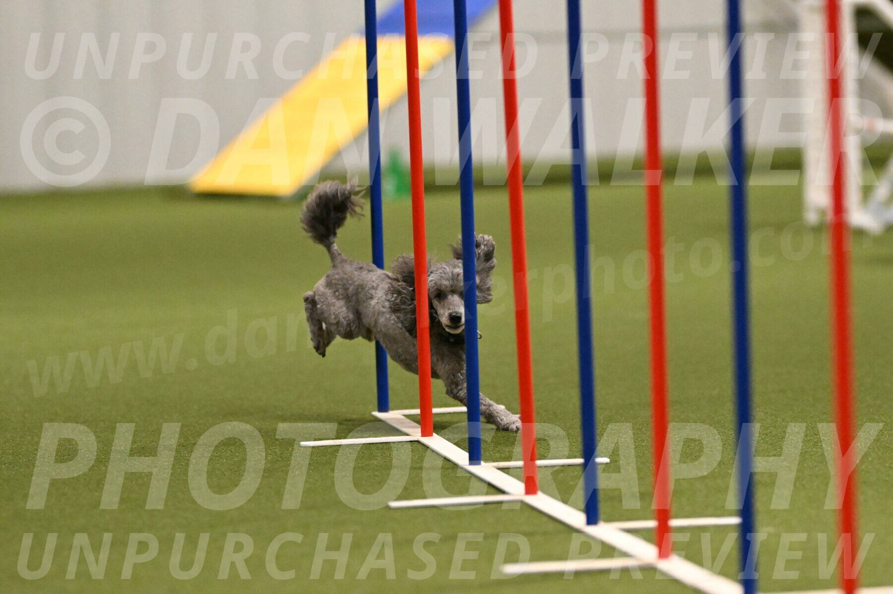 Fizz-Lori-Bieber-00160