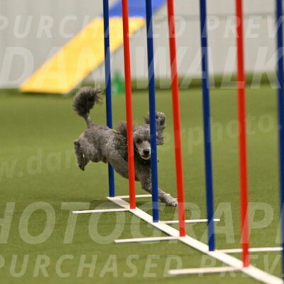 Fizz-Lori-Bieber-00160