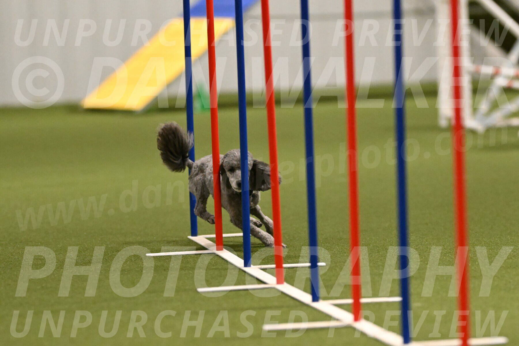 Fizz-Lori-Bieber-00161