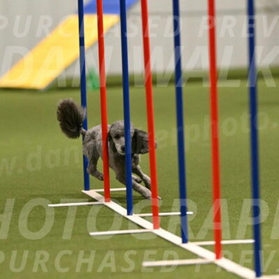 Fizz-Lori-Bieber-00161