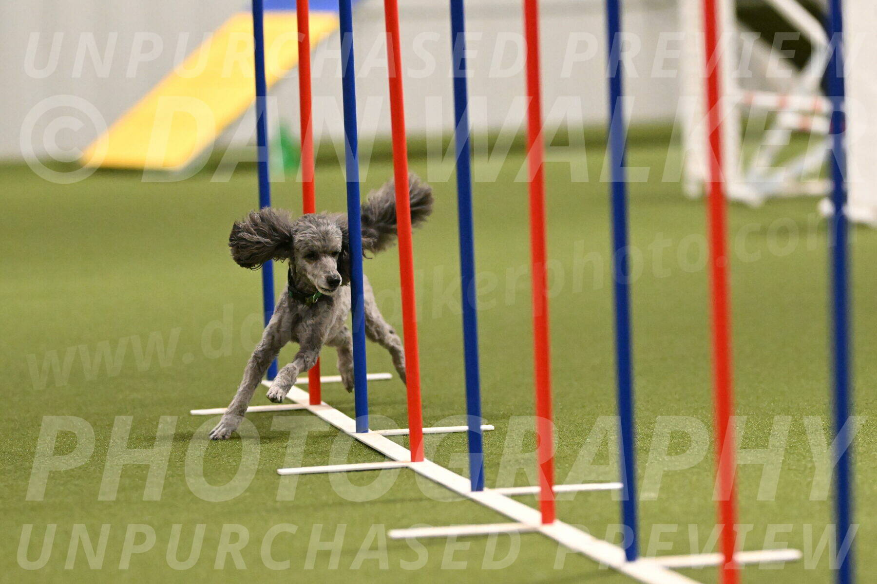 Fizz-Lori-Bieber-00162