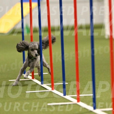 Fizz-Lori-Bieber-00162