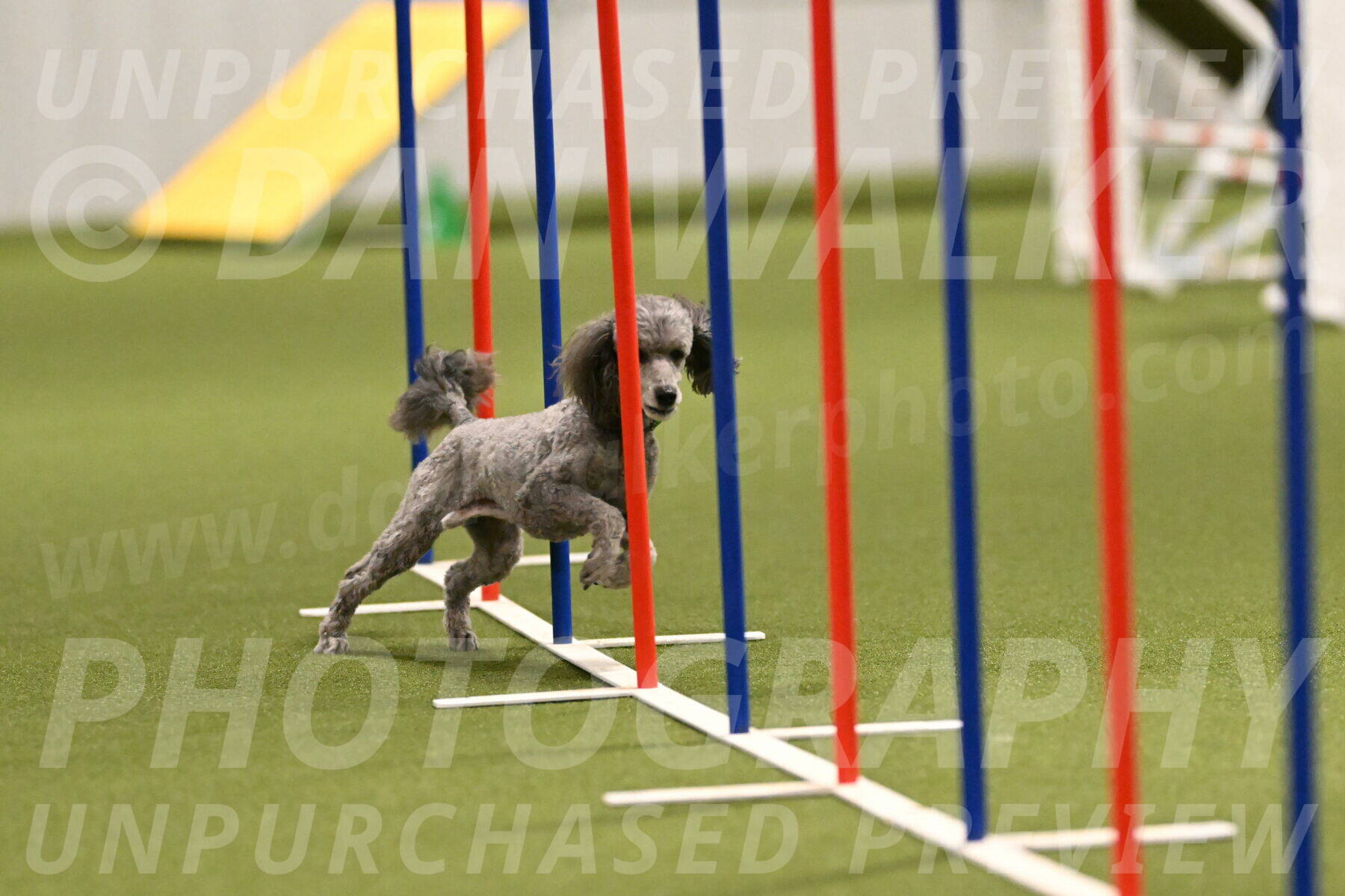 Fizz-Lori-Bieber-00163