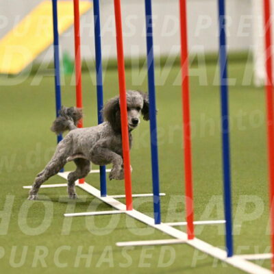 Fizz-Lori-Bieber-00163