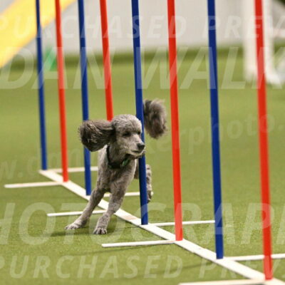 Fizz-Lori-Bieber-00164