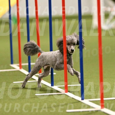 Fizz-Lori-Bieber-00165