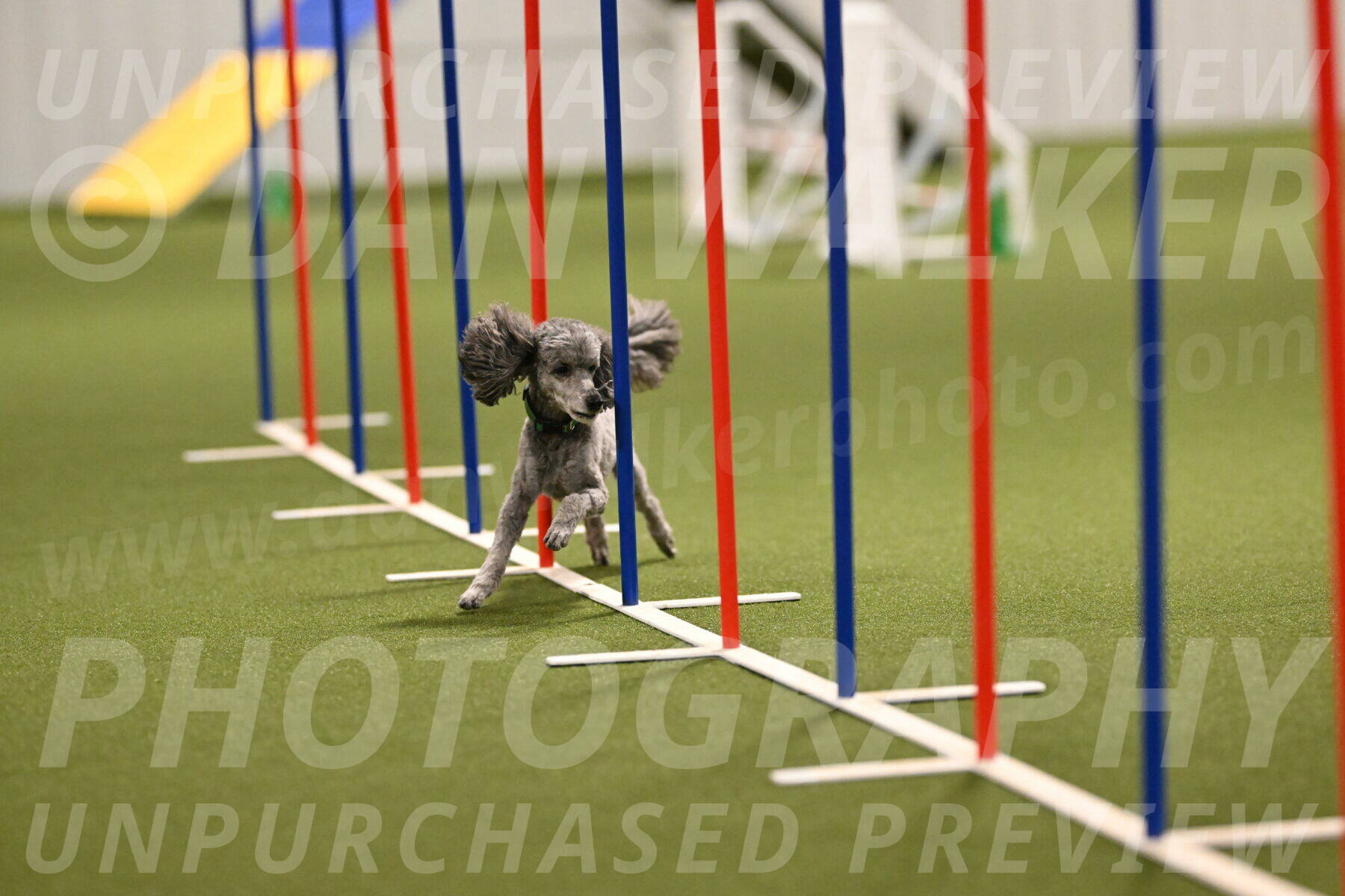 Fizz-Lori-Bieber-00166