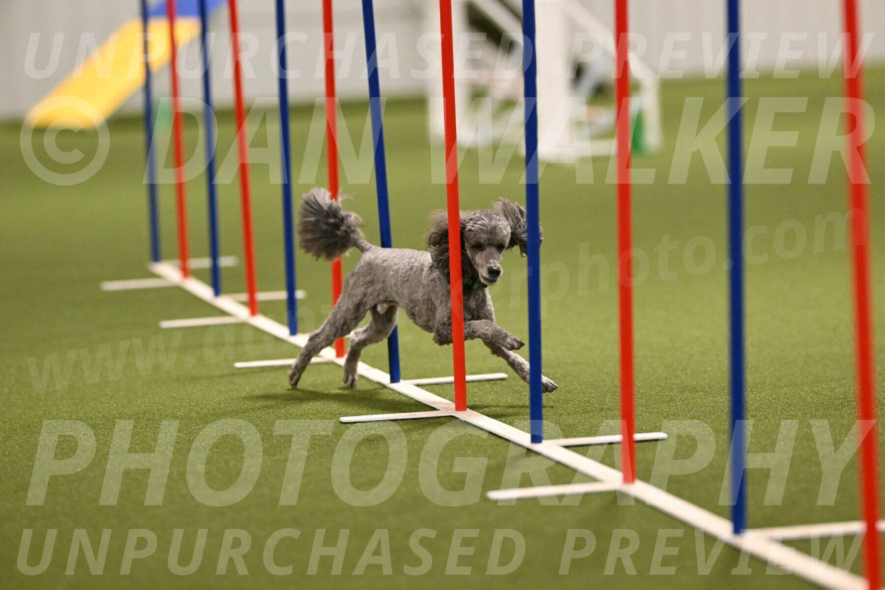 Fizz-Lori-Bieber-00167