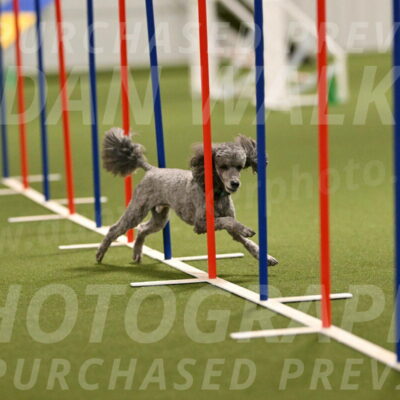 Fizz-Lori-Bieber-00167