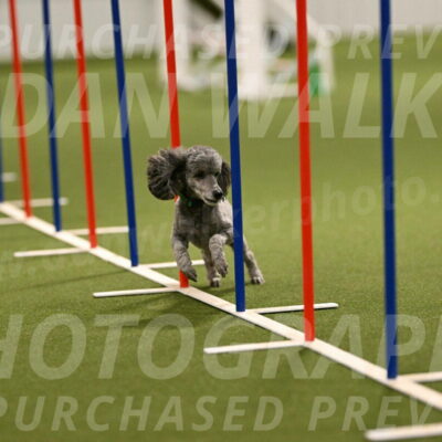 Fizz-Lori-Bieber-00168