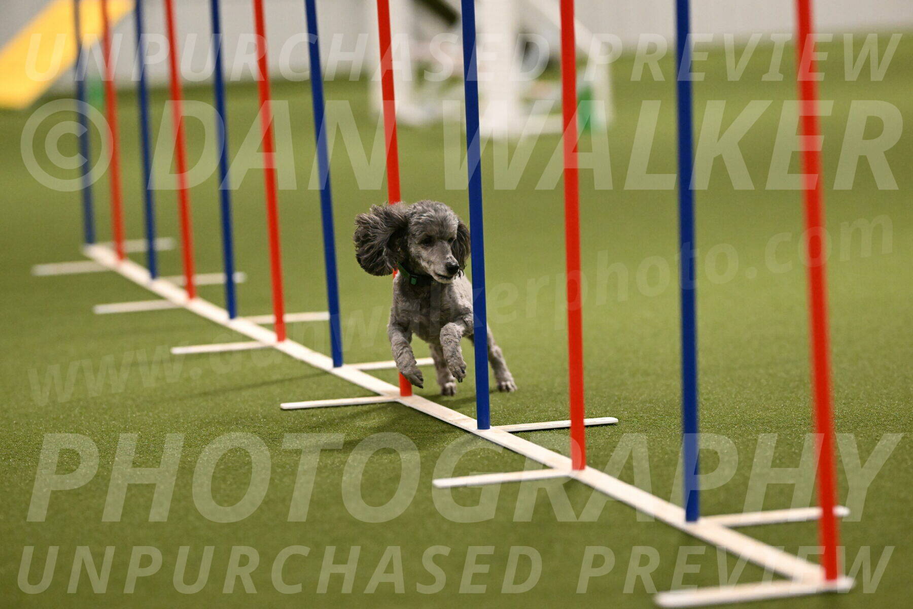 Fizz-Lori-Bieber-00168