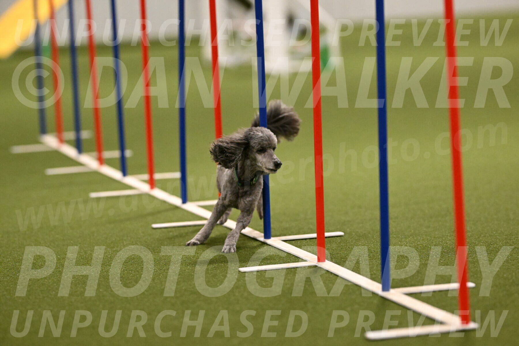 Fizz-Lori-Bieber-00169