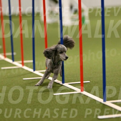 Fizz-Lori-Bieber-00169