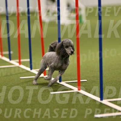 Fizz-Lori-Bieber-00170