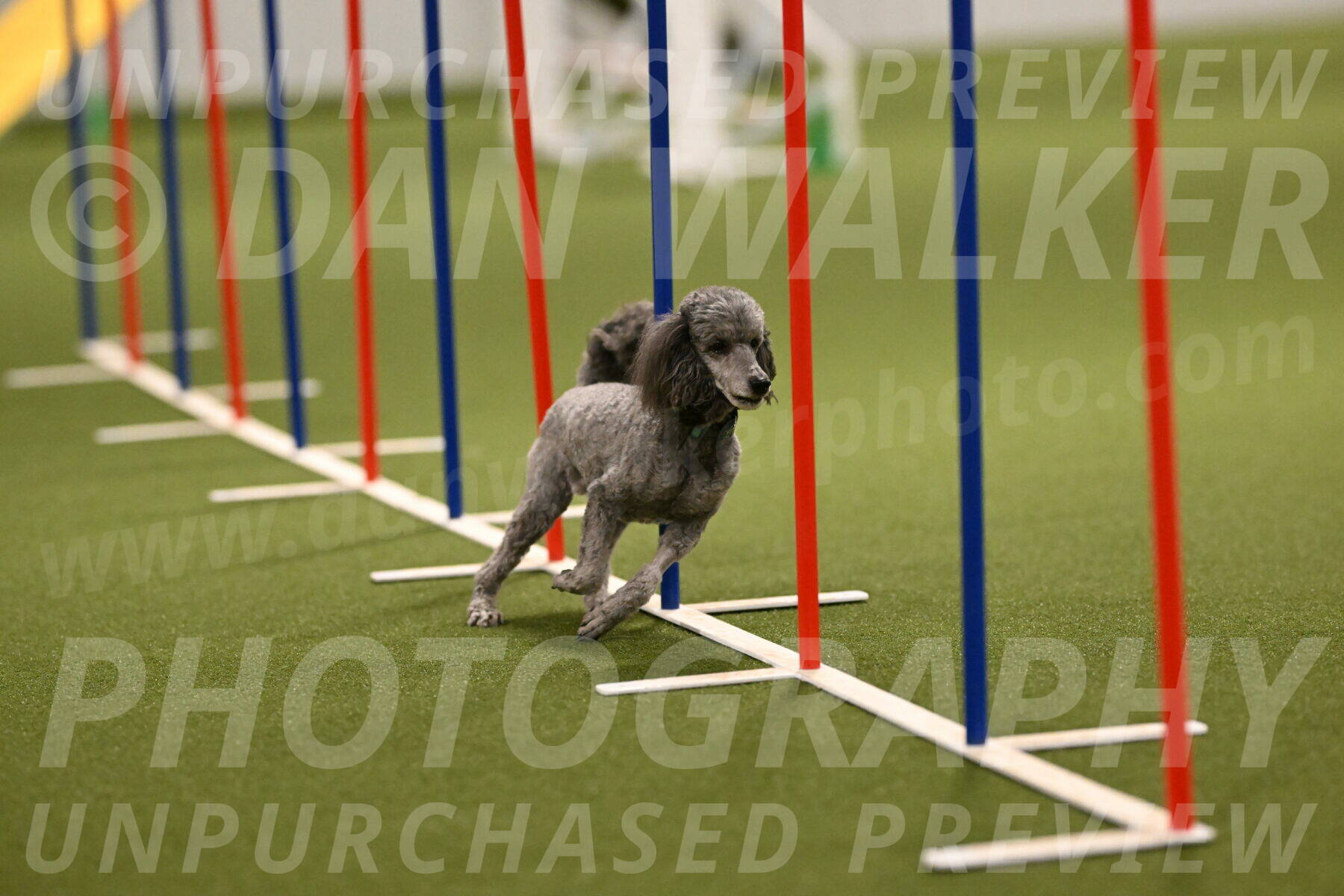 Fizz-Lori-Bieber-00170