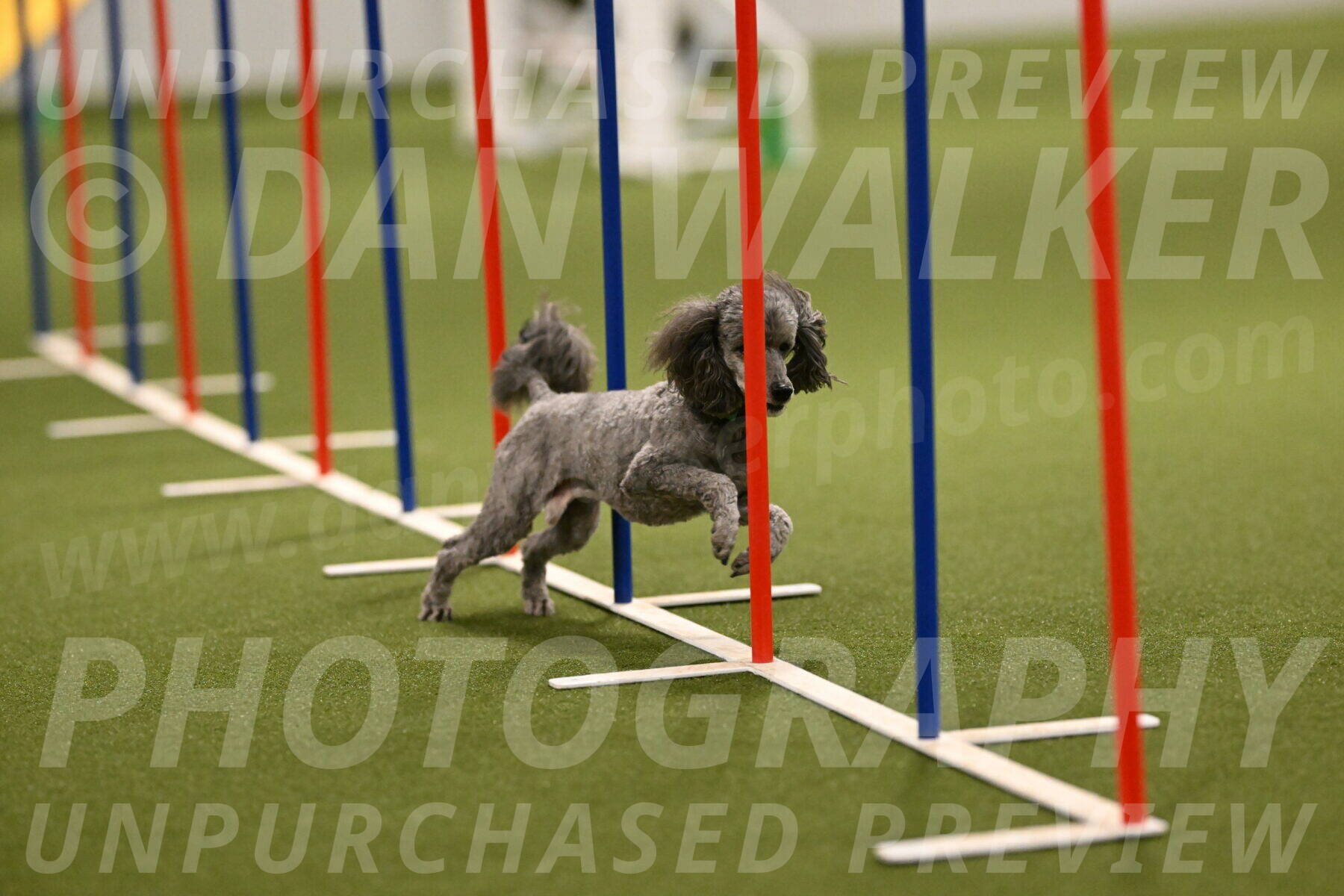 Fizz-Lori-Bieber-00171