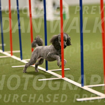 Fizz-Lori-Bieber-00171