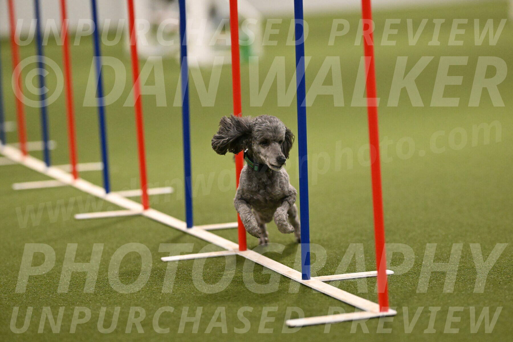 Fizz-Lori-Bieber-00172