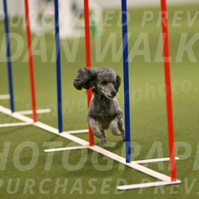 Fizz-Lori-Bieber-00172