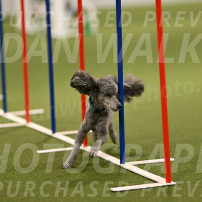 Fizz-Lori-Bieber-00173