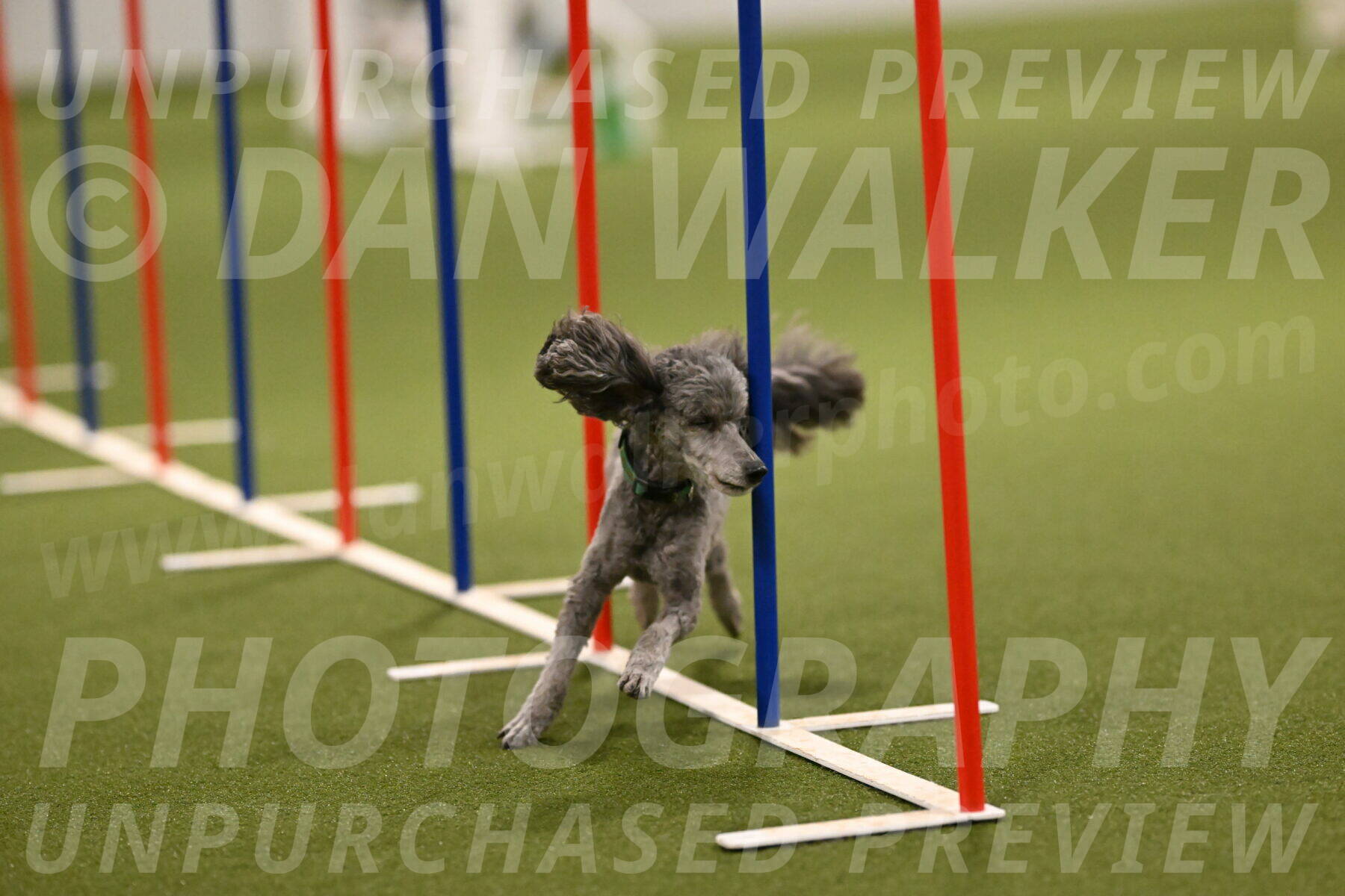 Fizz-Lori-Bieber-00173