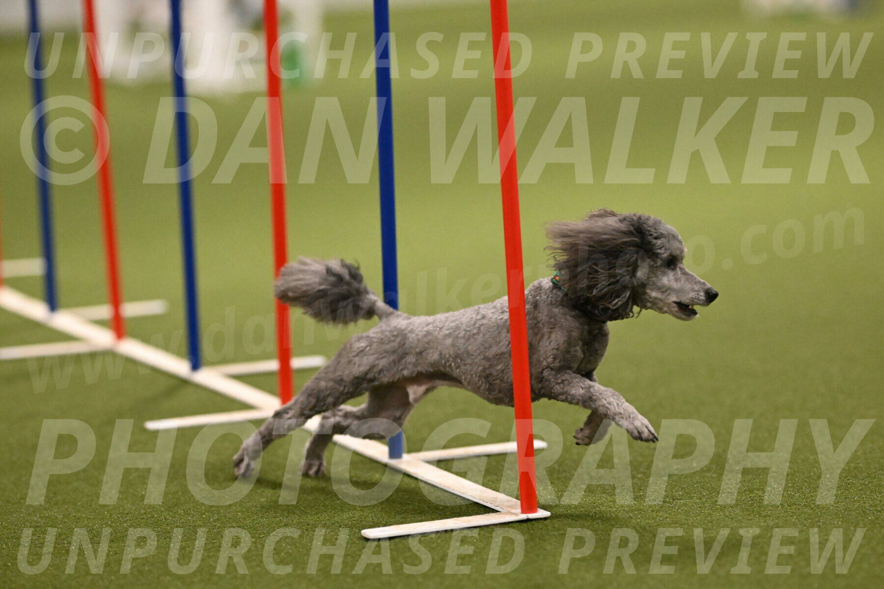 Fizz-Lori-Bieber-00174